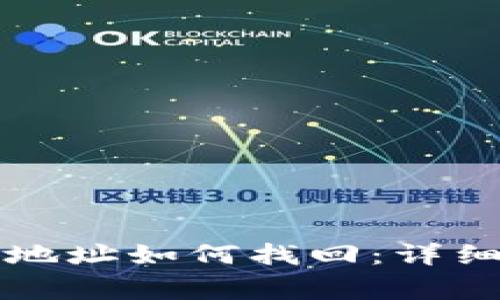 tpWallet币转错地址如何找回：详细步骤与注意事项