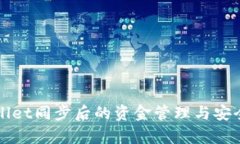 tpWallet同步后的资金管理与