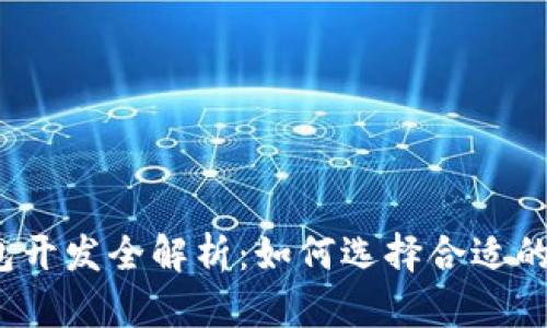 数字货币钱包开发全解析：如何选择合适的技术和平台？