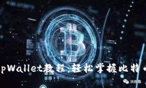 全面解析中本聪tpWallet教程:轻松掌握比特币钱包的使用技巧