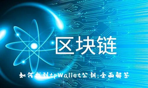 如何找到tpWallet公钥：全面解答