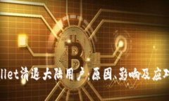 tpWallet清退大陆用户：原因