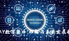 UPAY数字货币：理解与未来