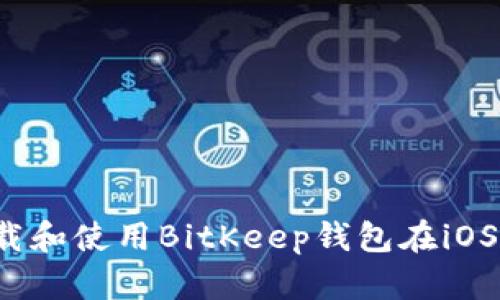 如何下载和使用BitKeep钱包在iOS设备上？
