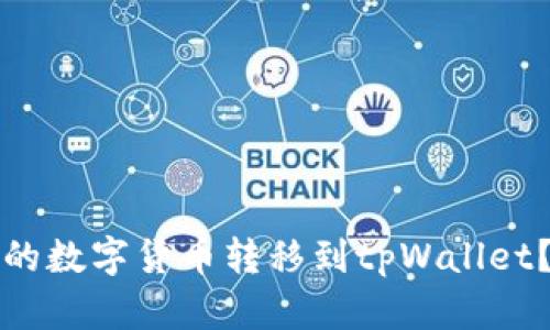 如何将火币网的数字货币转移到tpWallet?详细步骤解析