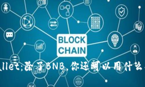 tpWallet：除了BNB，你还可以用什么买币？