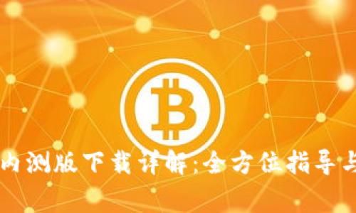 TPWallet内测版下载详解：全方位指导与注意事项