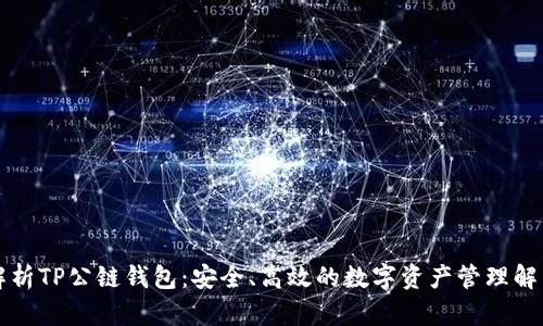 深入解析TP公链钱包：安全、高效的数字资产管理解决方案