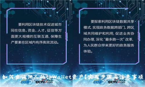 如何查询他人的tpWallet资产？实用步骤与注意事项