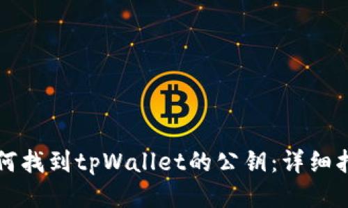 如何找到tpWallet的公钥：详细指南