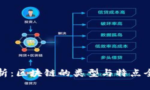 深入解析:区块链的类型与特点全面解读