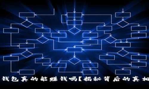 区块链钱包真的能赚钱吗？揭秘背后的真相与策略