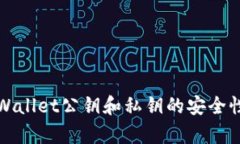 全面解析tpWallet公钥和私钥