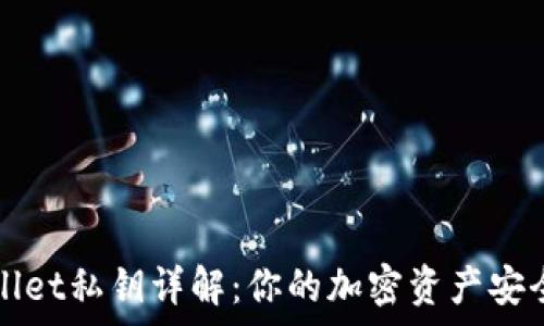 tpWallet私钥详解:你的加密资产安全保障