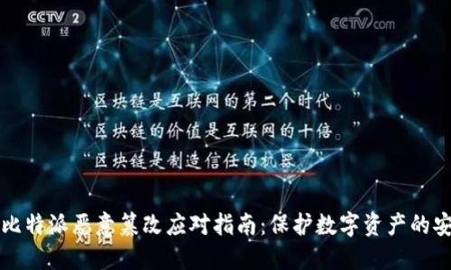 ### 比特派恶意篡改应对指南：保护数字资产的安全策略