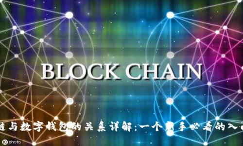 区块链与数字钱包的关系详解：一个新手必看的入门指南