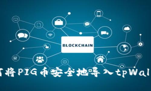 如何将PIG币安全地导入tpWallet？