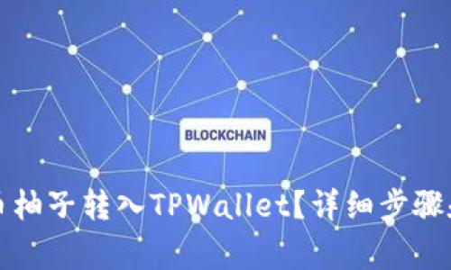 如何将火币柚子转入TPWallet？详细步骤和注意事项