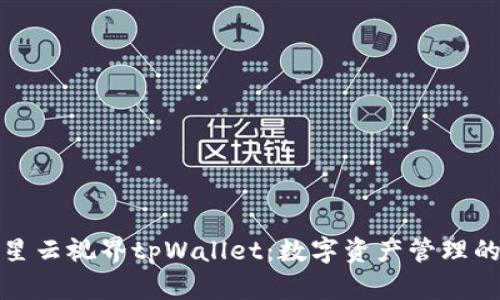 全面解析星云视界tpWallet：数字资产管理的便捷选择