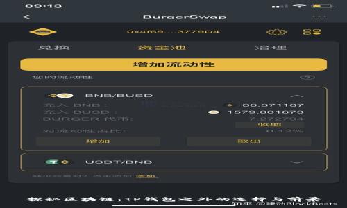 探秘区块链:TP钱包之外的选择与前景