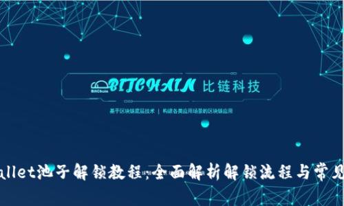 tpWallet池子解锁教程：全面解析解锁流程与常见问题