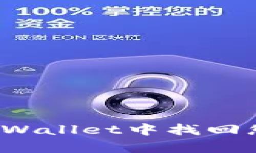 如何在tpWallet中找回您的私钥？