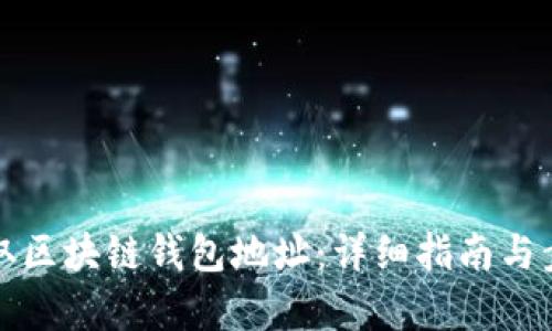 如何获取区块链钱包地址:详细指南与步骤解析