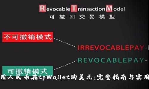 如何用人民币在tpWallet购美元：完整指南与实用技巧