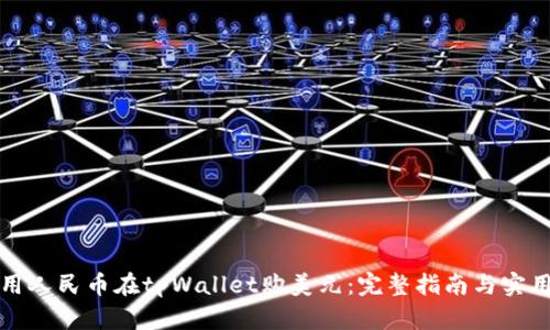 如何用人民币在tpWallet购美元：完整指南与实用技巧
