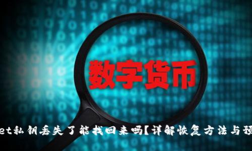 tpWallet私钥丢失了能找回来吗？详解恢复方法与预防措施