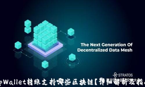 
tpWallet转账支持哪些区块链？详细解析及指南