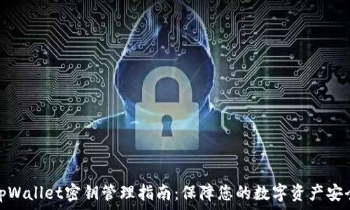   
tpWallet密钥管理指南：保障您的数字资产安全