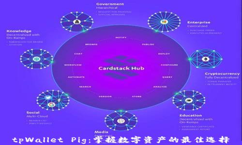 
tpWallet Pig：掌握数字资产的最佳选择