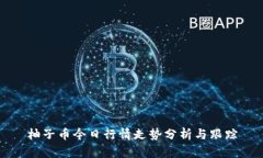 柚子币今日行情走势分析