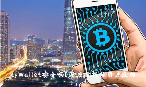 tpWallet安全吗？深度分析与用户反馈