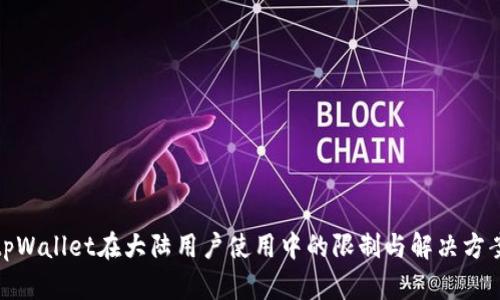 tpWallet在大陆用户使用中的限制与解决方案
