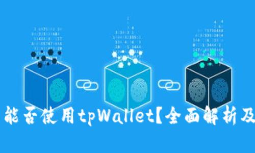 中国地区能否使用tpWallet？全面解析及使用指南