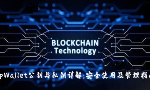 tpWallet公钥与私钥详解:安全使用及管理指南