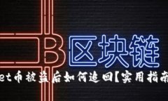 tpWallet币被盗后如何追回？