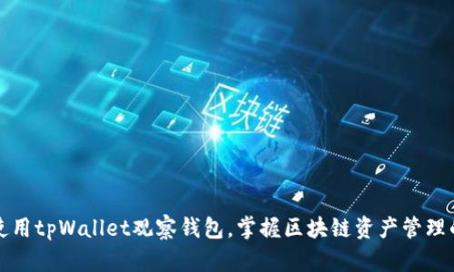 如何使用tpWallet观察钱包，掌握区块链资产管理的技巧