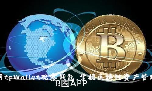 如何使用tpWallet观察钱包，掌握区块链资产管理的技巧