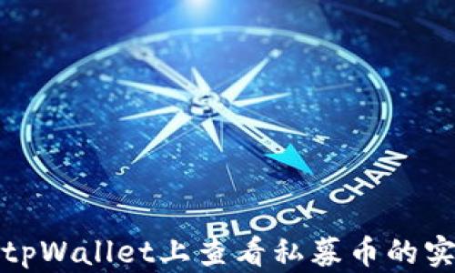 
如何在tpWallet上查看私募币的实时行情