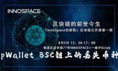 如何找回tpWallet BSC链上的