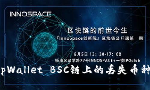 如何找回tpWallet BSC链上的丢失币种？详细指南