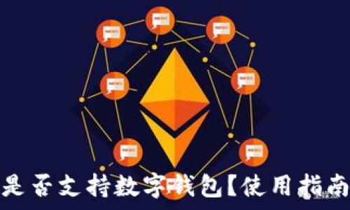  
泰达币是否支持数字钱包？使用指南与建议