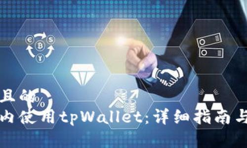 思考一个且的  
如何在国内使用tpWallet：详细指南与注意事项