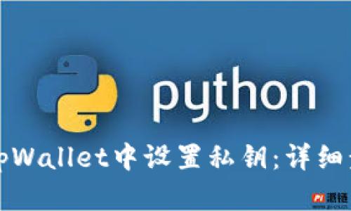 如何在tpWallet中设置私钥：详细步骤指导