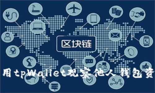 如何使用tpWallet观察他人钱包资产动态