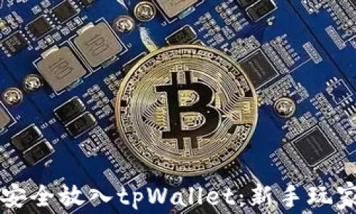 
莱特币如何安全放入tpWallet：新手玩家的完整指南