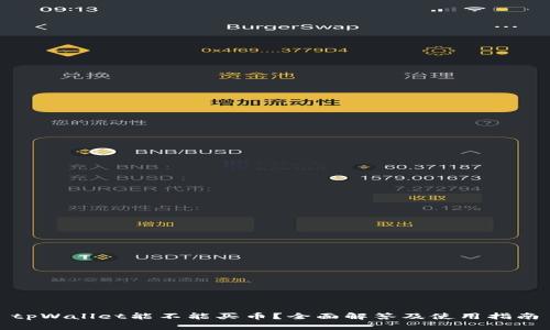 tpWallet能不能买币？全面解答及使用指南